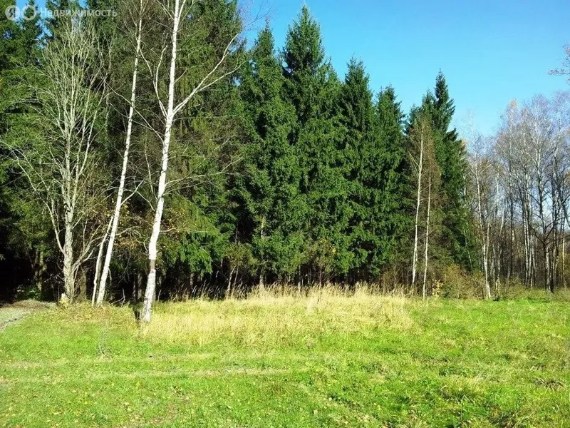 Участки у леса от 9 соток