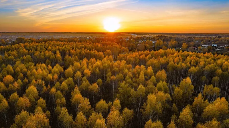 Участок 6,33 сотки — фото 6