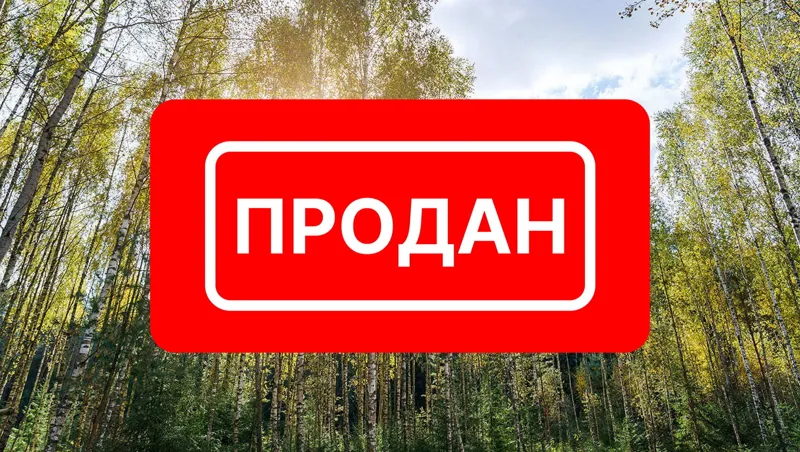 Участок 6,84 сотки